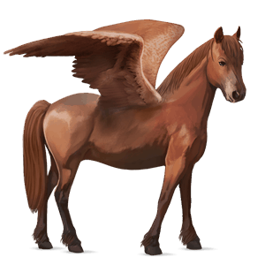pegasus pony welsh chestnut