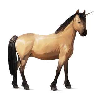 unicorn pony highland pony dun