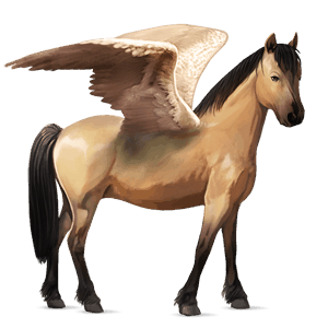 pegasus pony highland pony dun