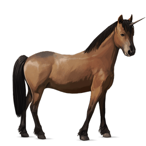 riding unicorn liver chestnut