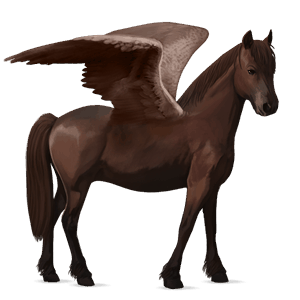 pegasus pony liver chestnut