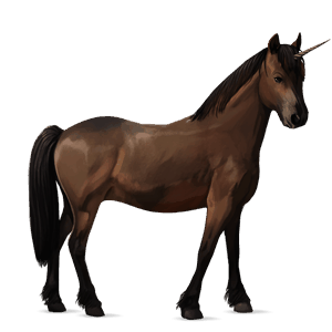 unicorn pony australian pony dark bay
