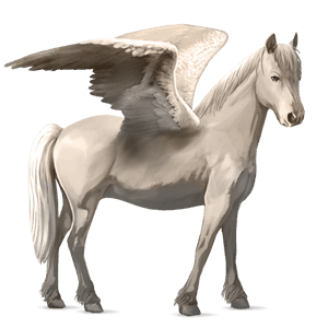 pegasus pony welsh palomino