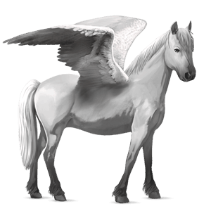 pegasus pony welsh light grey