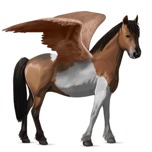 pegasus pony welsh bay