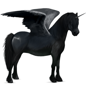 winged unicorn pony  kerry bog dun