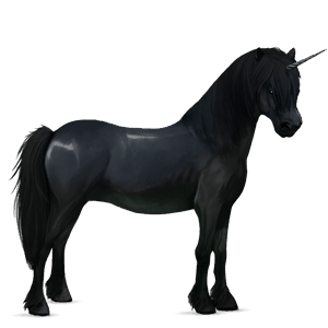unicorn pony welsh roan