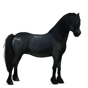 pony australian pony flaxen chestnut 