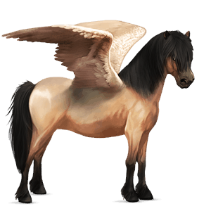 pegasus pony welsh flaxen liver chestnut 