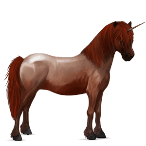 unicorn pony australian pony dapple grey