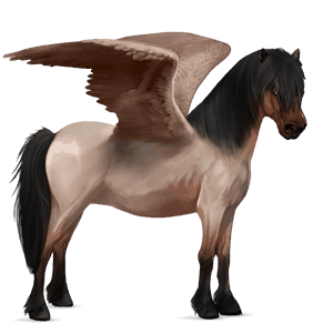 pegasus pony belgian riding pony cremello