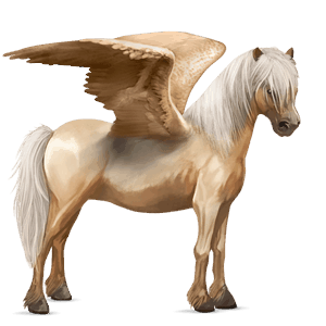 pegasus pony australian pony palomino