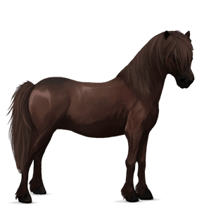 riding horse finnish liver chestnut