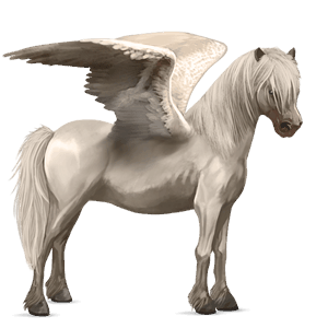 pegasus pony kerry bog palomino tobiano