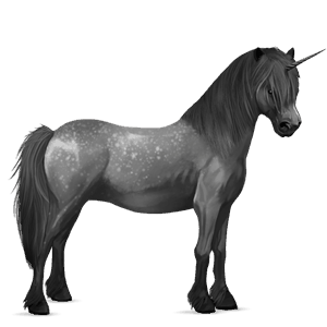 unicorn pony kerry bog dapple grey