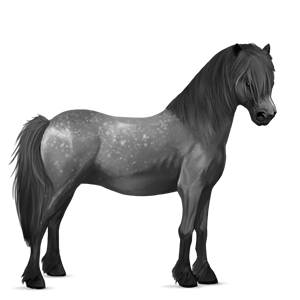 pony cremello