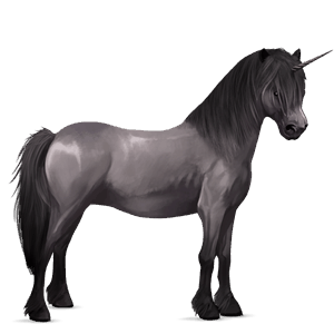 unicorn pony dark bay