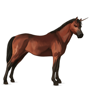 unicorn pony welsh cherry bay