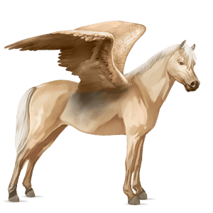 pegasus pony australian pony chestnut