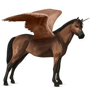winged unicorn pony  australian pony bay