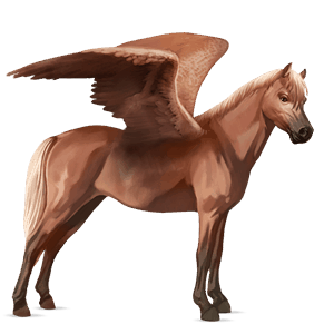 pegasus pony australian pony flaxen chestnut 