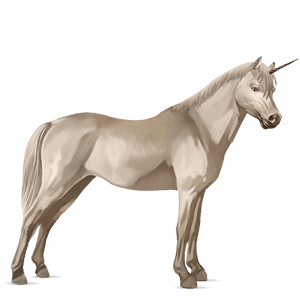 unicorn pony highland pony dun