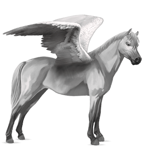 pegasus pony belgian riding pony light grey