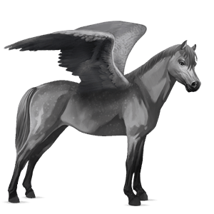 pegasus pony connemara dapple grey