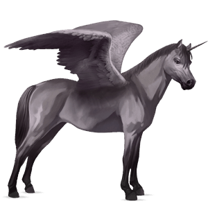 winged unicorn pony  belgian riding pony cremello
