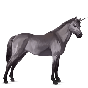 unicorn pony newfoundland pony dark bay