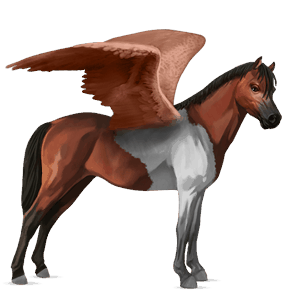 pegasus pony welsh chestnut