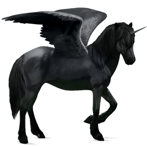 winged riding unicorn icelandic horse black