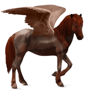 riding pegasus icelandic horse flaxen liver chestnut 