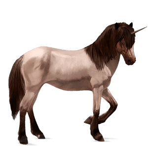 riding unicorn arabian horse chestnut