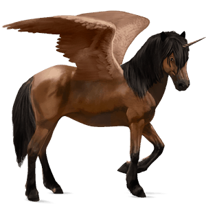 winged riding unicorn purebred spanish horse dun