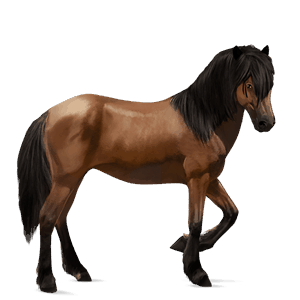 riding horse bay