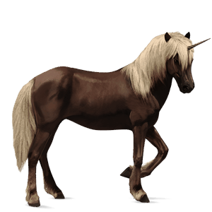 riding unicorn paint horse black overo