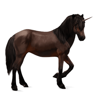 riding unicorn brumby dark bay