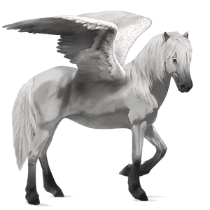riding pegasus brumby light grey