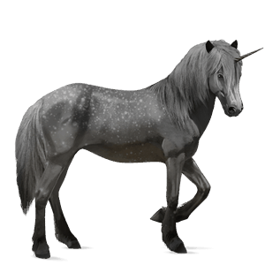 riding unicorn camargue dapple grey