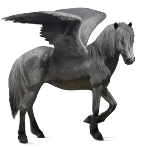 riding pegasus purebred spanish horse dapple grey