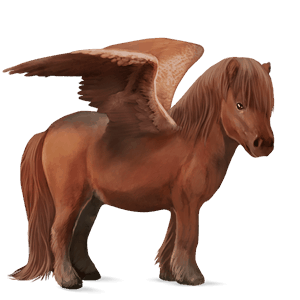pegasus pony welsh dapple grey