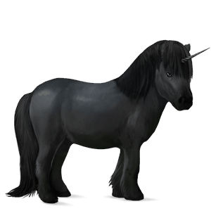 unicorn pony highland pony light grey