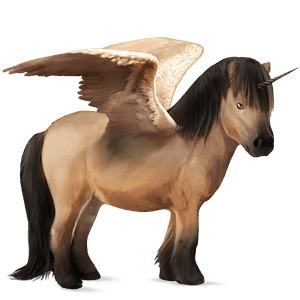 winged unicorn pony  shetland dun