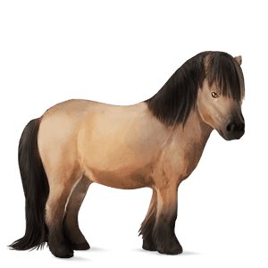 pony australian pony dapple grey