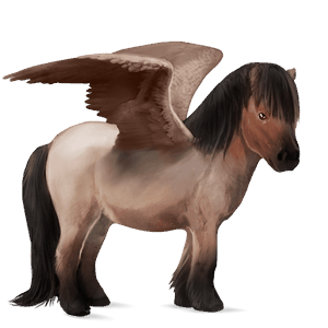 pegasus pony shetland roan
