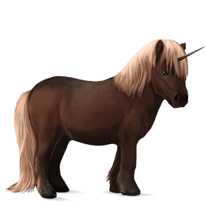 unicorn pony shetland black