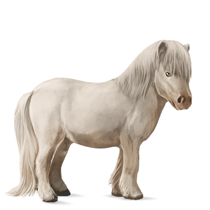 pony shetland liver chestnut tobiano