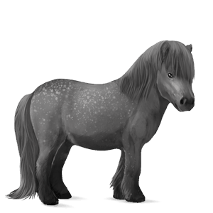 pony shetland flaxen chestnut 