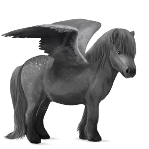 pegasus pony shetland dapple grey